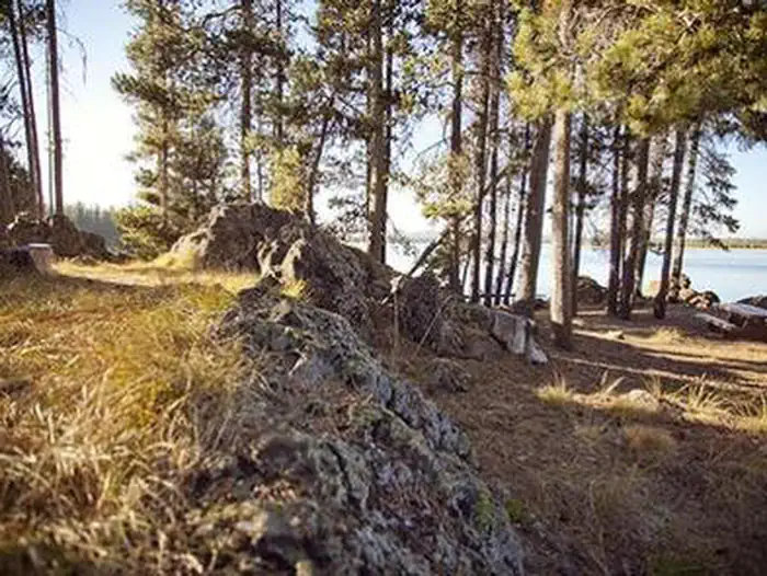Crane Prairie