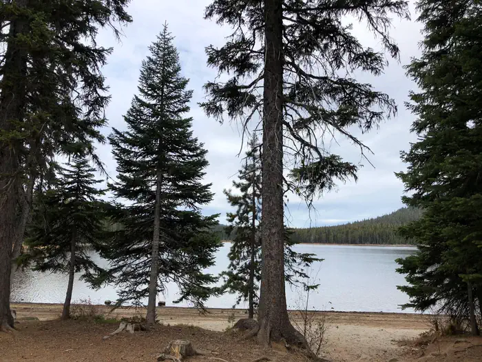 Little Cultus Lake